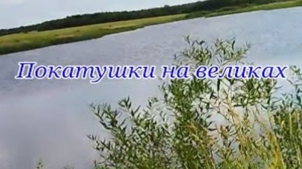 Покатушки на великах.