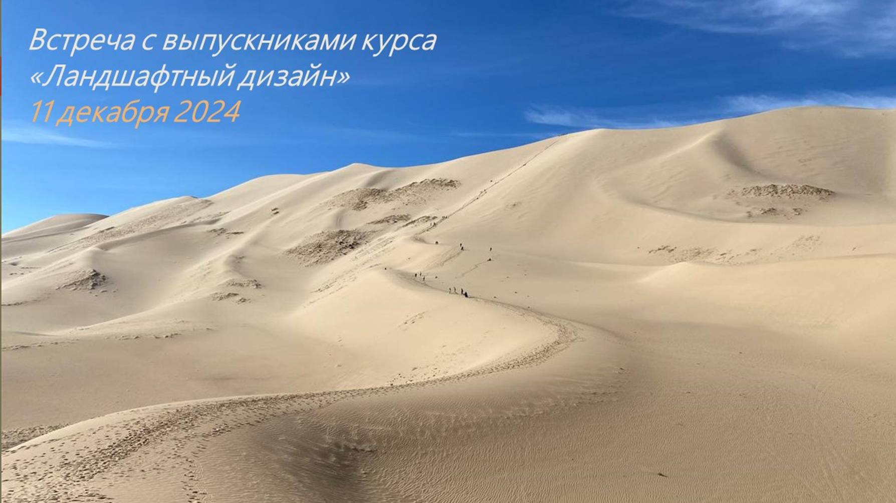 Запись встречи с выпускниками курса "Ландшафтный дизайн"
11.12.2024