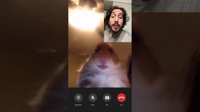 scene_output.mp4