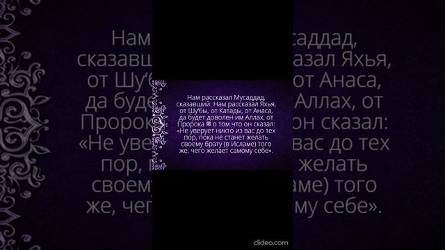 ХАДИС19