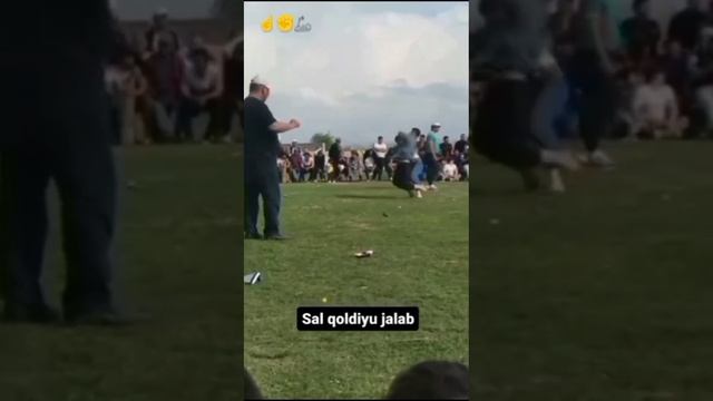 VID_20241221_161836_723.mp4