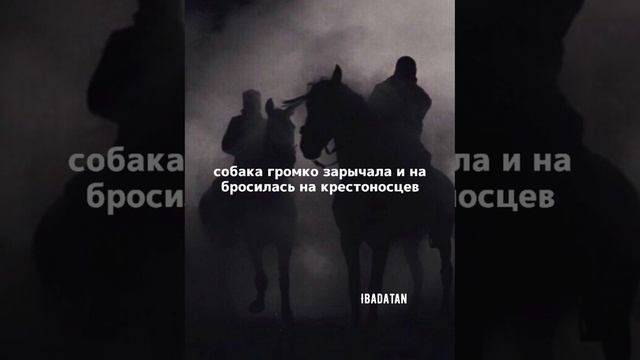 История о прошлом