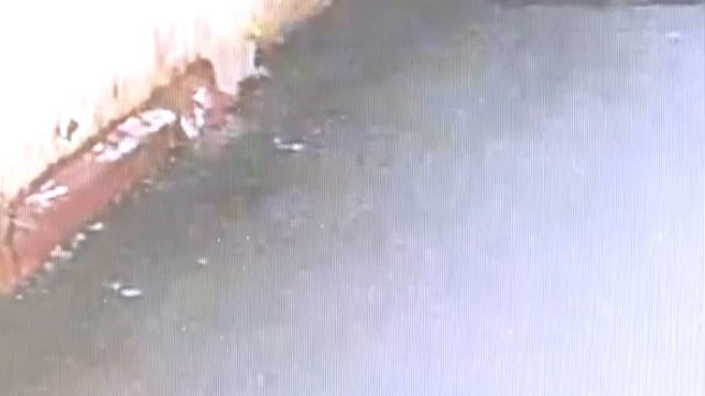 Внимание, розыск! В Курске неизвестный ограбил два ювелирных салона!