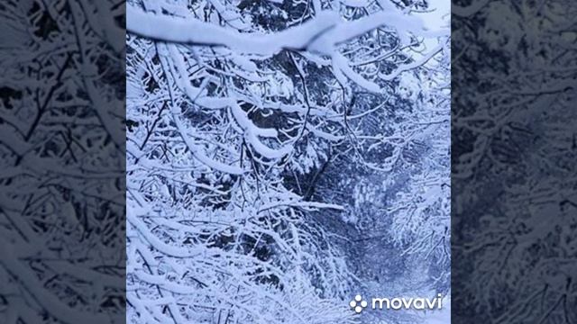 хрустальное волшебство зимы