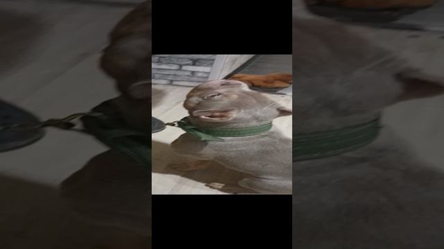 1000035441.mp4