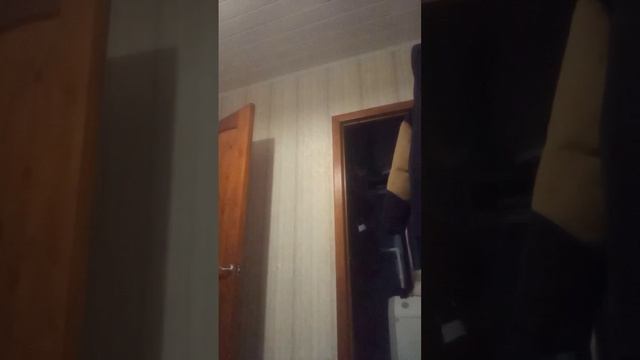 lv_0_20241221215420.mp4