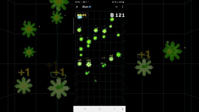 Blum Academy: Dec 20 News