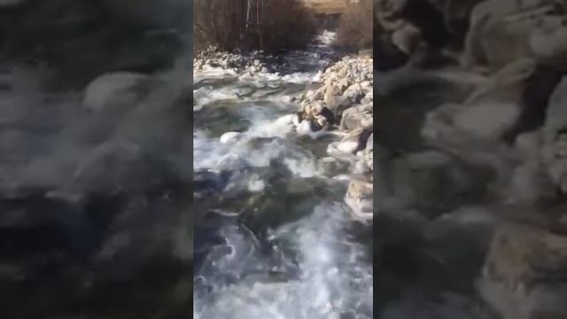 Ледниковая вода