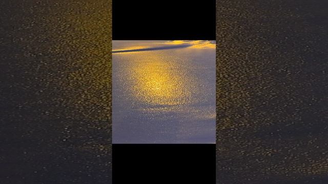 1000092071.mp4