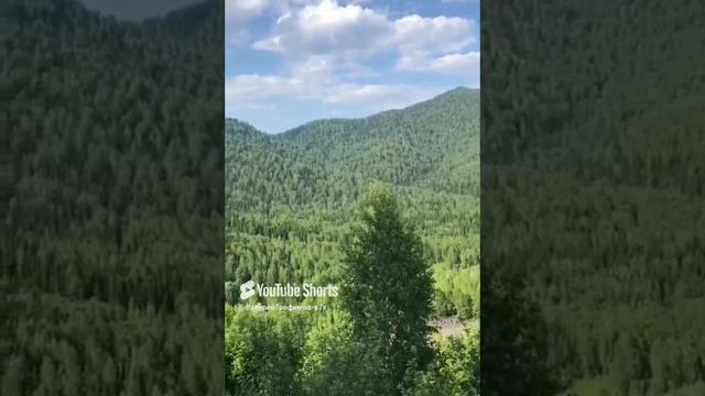 11 декабря 2024 г..mp4