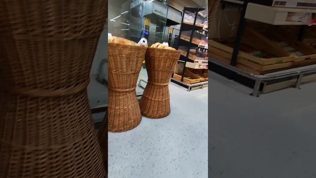 😂🤣😂 голуби в магазине #голубь #птица #магазин #хлеб #Булочки #Батон #жиза #юмор