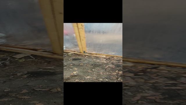 1000105224.mp4