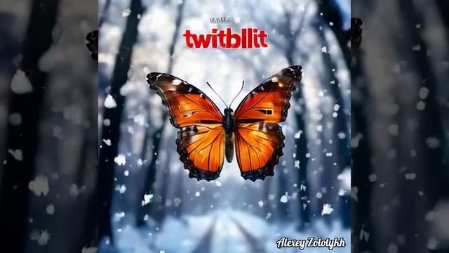 Добро пожаловать в «TwitBlit»