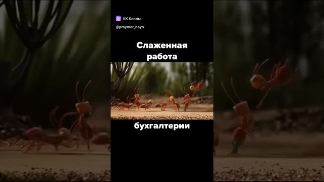 типичная бухалтерия