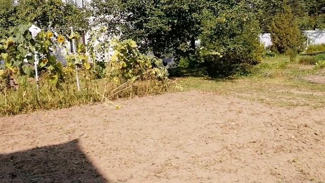 Понемногу обо всём. (1).mp4