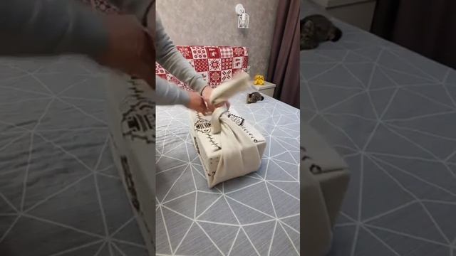 домик для кота 😽
