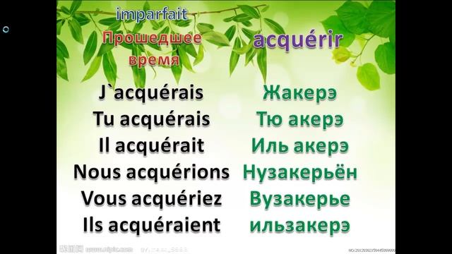 Французский язык. Французский язык для начинающих)