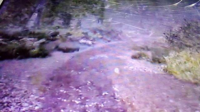 Отыскали разбитый самолёт в Plane accident. Тушим пожар в самолёте огнетушителем.