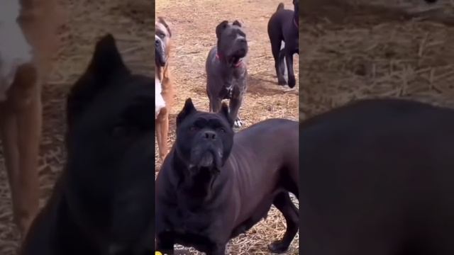1000000639.mp4