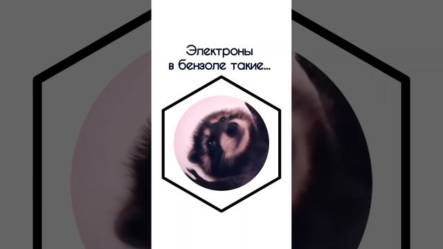 Бензольное кольцо би лайк #егэ #мем #шортс #прикол #химия #рекомендации