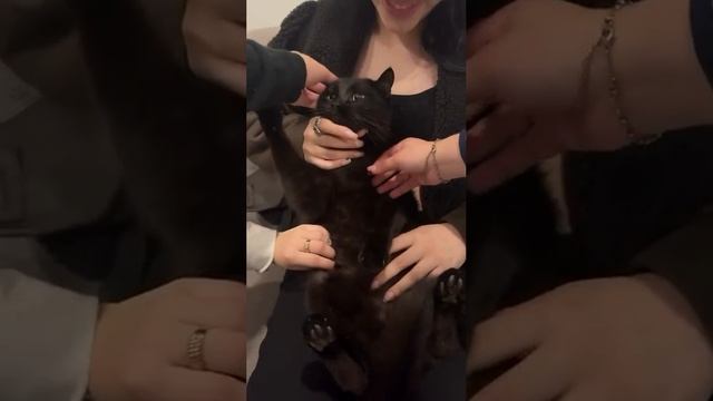 Элита😘