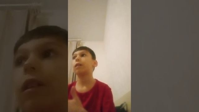 Зимняя вишня. Почему случился пожар?