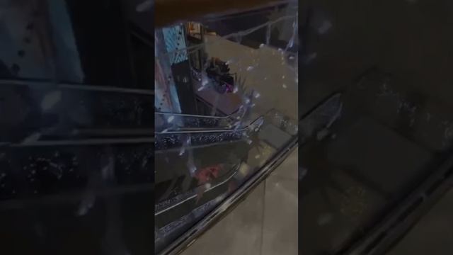 В Курске запахло новым годом)))