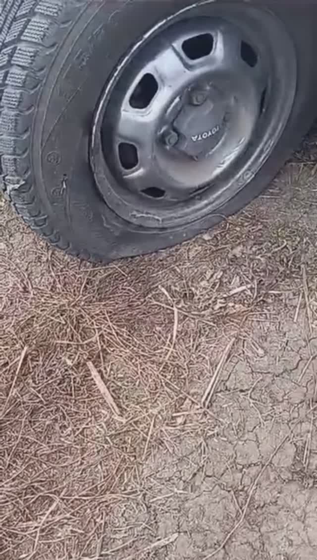 Козни рыбакам на Кубани. 😡🎣🚘