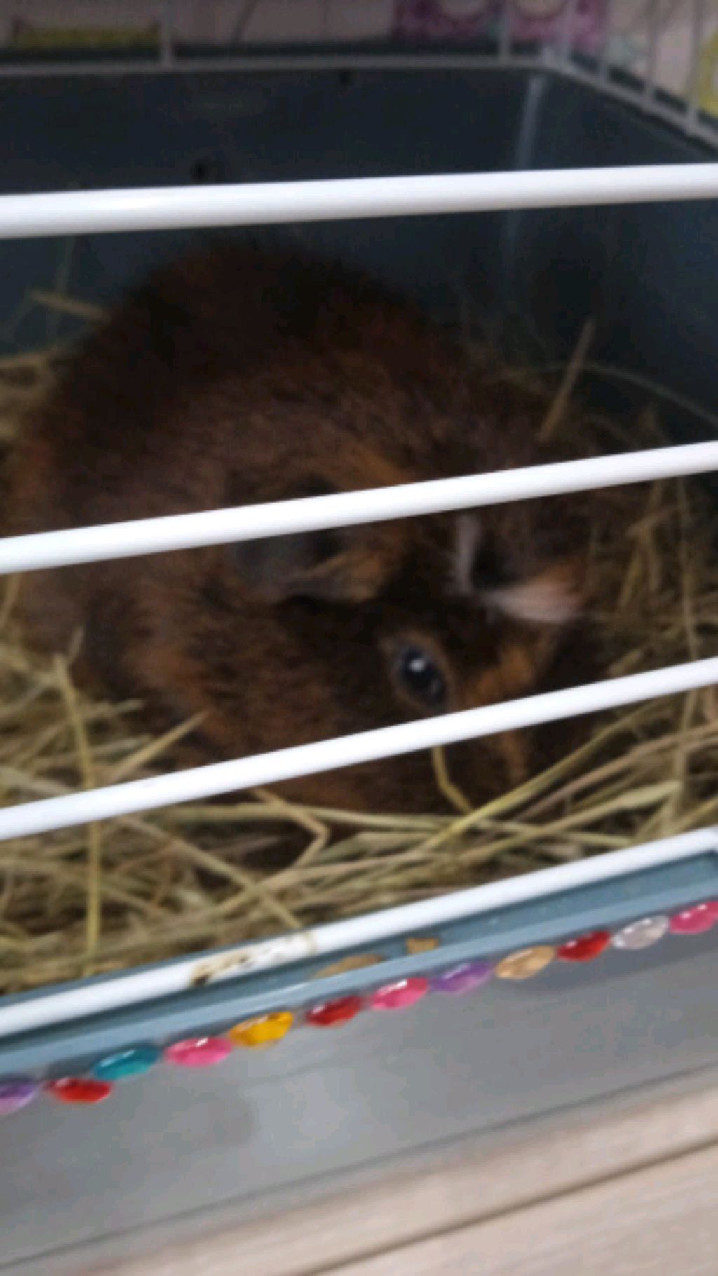 моё занятие программирования
🤗