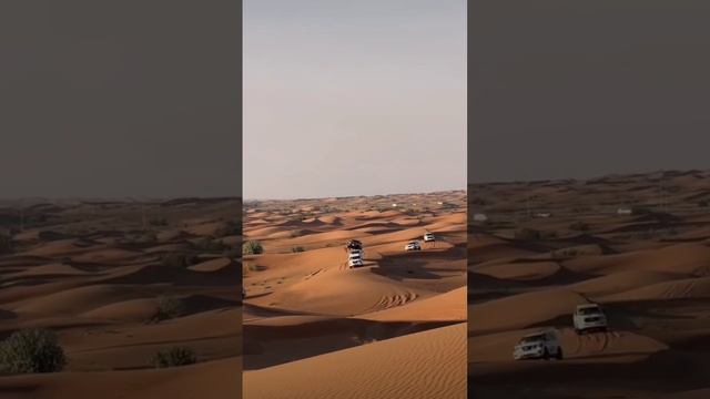 Desert Drive