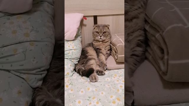 1000099953.mp4