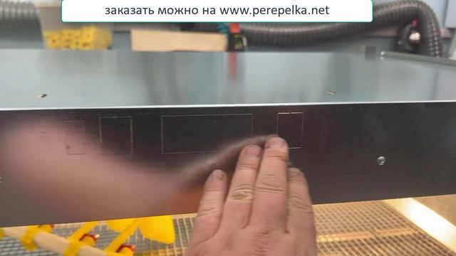 Брудер для цыплят Идеал мини