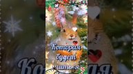 Video.Guru_20241222_023109720.mp4