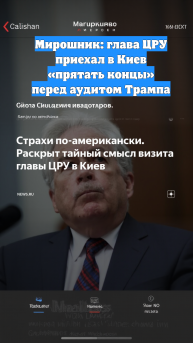 Мирошник: глава ЦРУ приехал в Киев «прятать концы» перед аудитом Трампа