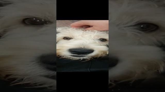 22-12-2024