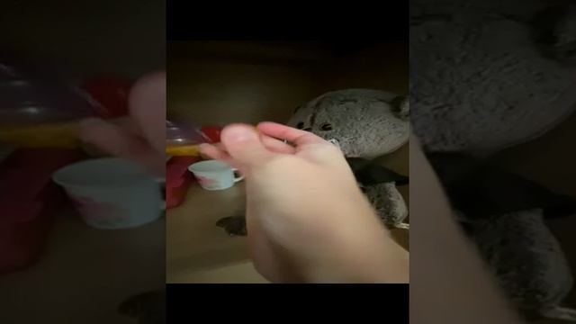 Утро с басиком ВЛОГ