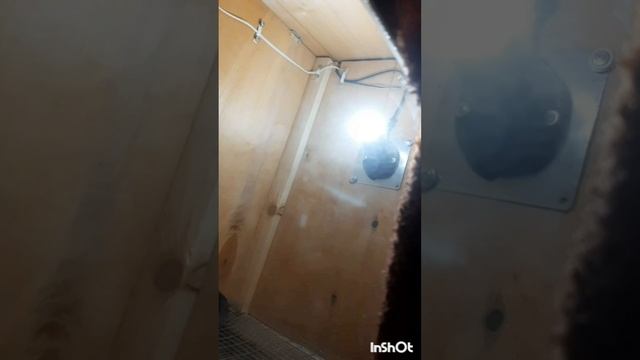 ПроИзобретения.Брудер для цыплят.Фильм86.Серия3 .mp4