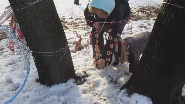 Зевс и Евгения. Весёлые старты 21.12.2024