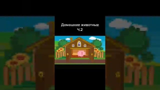 scene_output.mp4