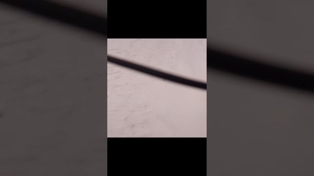 1000023050.mp4