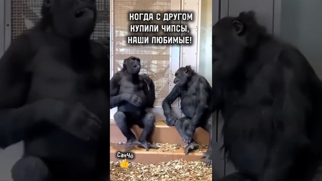 А у тебя есть друг(подруга)?