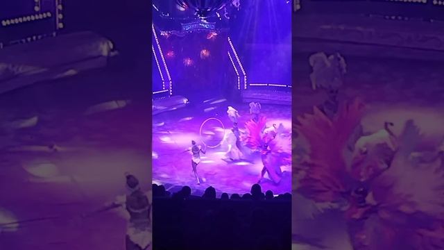 1000020519.mp4