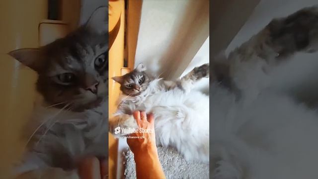 Кузя