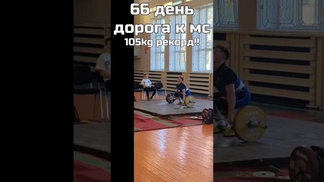 Дорога к мастеру спорта #sports #shorts #gym #weightlifting #powerlifting