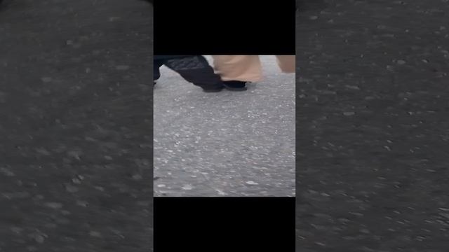 VID_20241220_162428.mp4