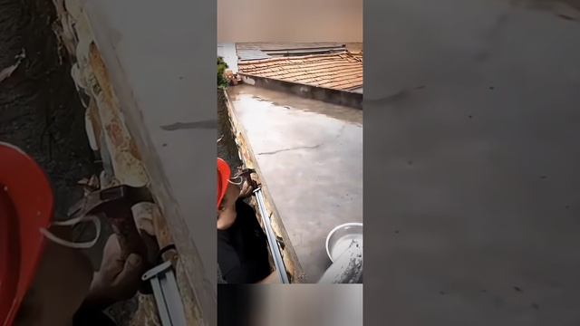 смешные котики . смешные коты . смешное видео с животными