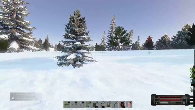 DayZ_replay_2024.12.22-22.47_1 - Trim