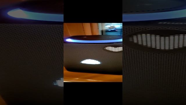 VID_20241222_164734.mp4