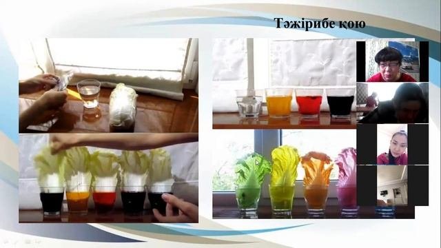 Мамыкова БЭҰ  Оқушылардың ҒЗЖ ұйымдастыру