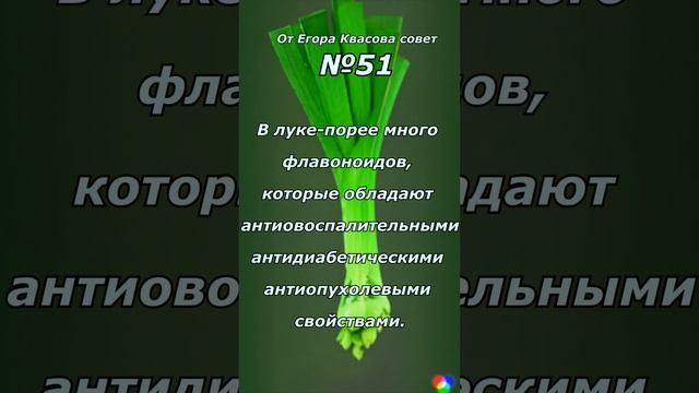 Лук, но не совсем.